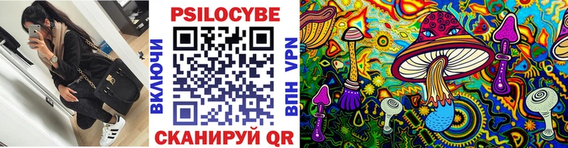 Галлюциногенные грибы Cubensis Ессентуки